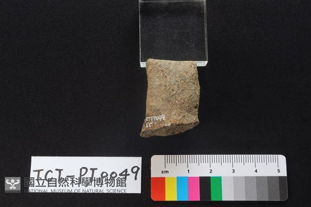 陶蓋鈕藏品圖，第4張