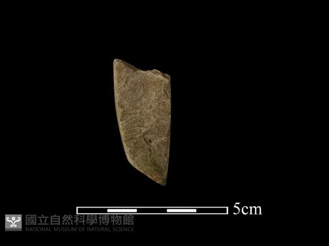 錛鑿形器藏品圖，第1張