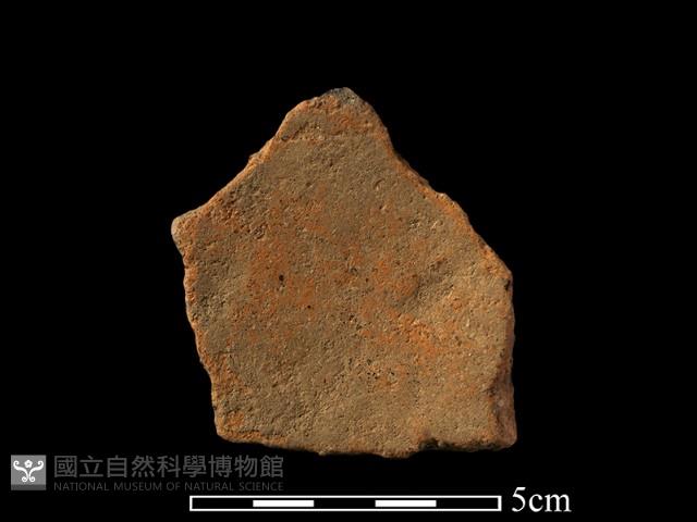 陶片藏品圖，第2張