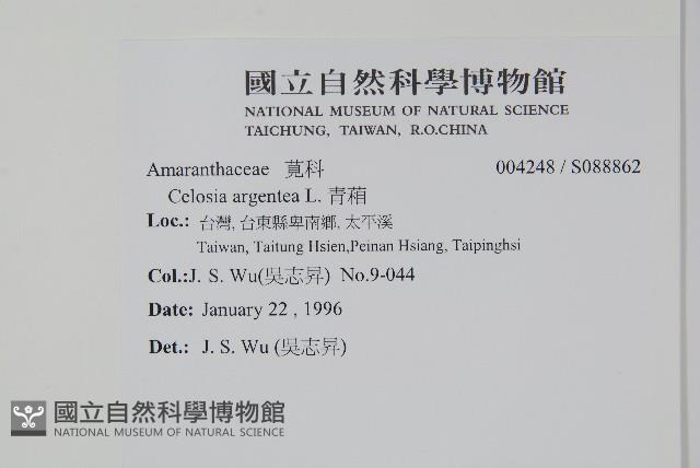 青葙藏品圖，第2張