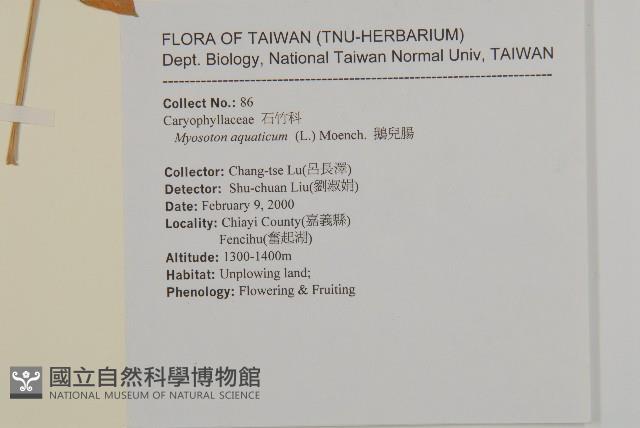 牛繁縷藏品圖，第2張