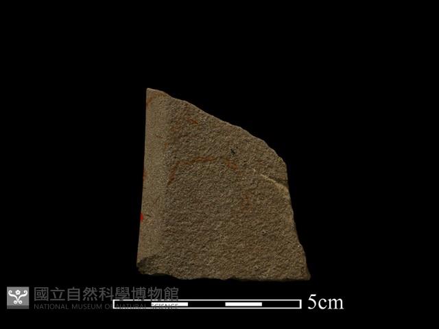 石鋸藏品圖，第1張