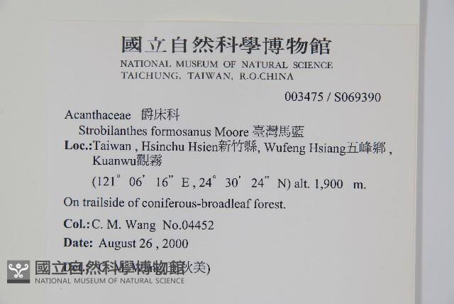 臺灣馬藍藏品圖，第2張