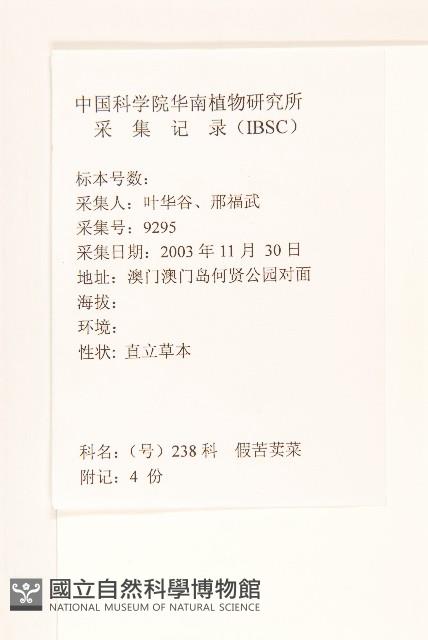 苦苣菜藏品圖，第2張