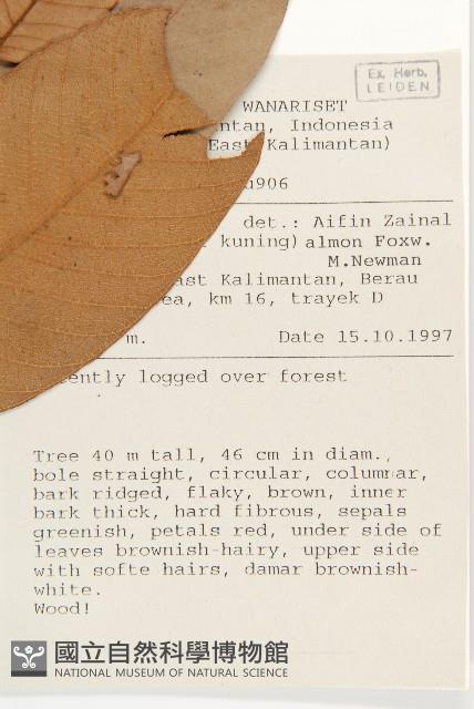 Accession Number:S058890 Collection Image, Figure 2, Total 2 Figures