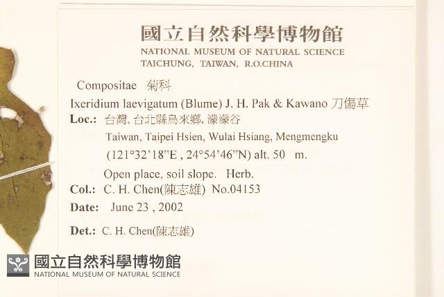 刀傷草藏品圖，第2張