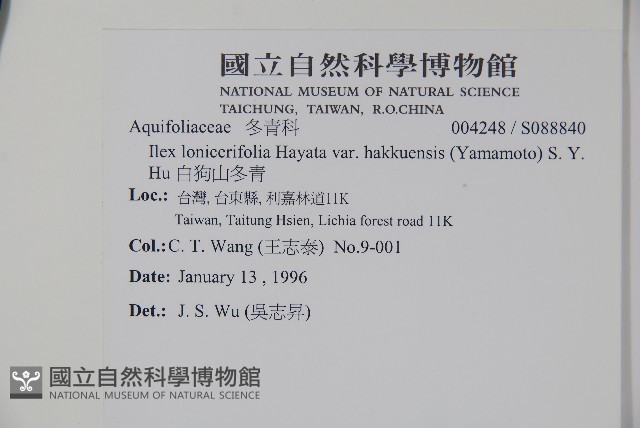 白狗山冬青藏品圖，第2張
