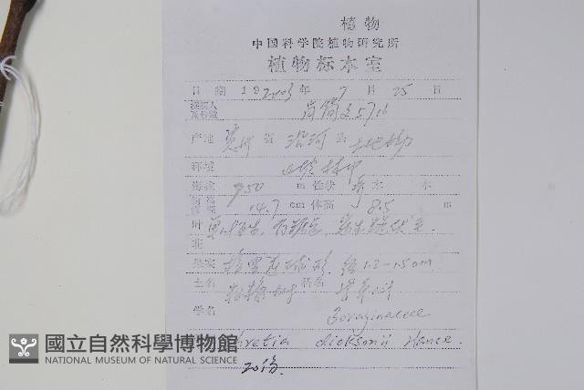 破布烏藏品圖，第2張