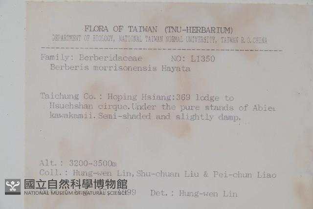 玉山小蘗藏品圖，第2張