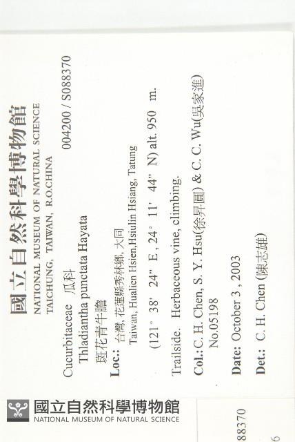 青牛膽藏品圖，第2張