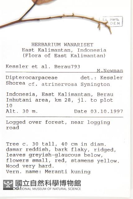 登錄號:S058870藏品圖，第2張