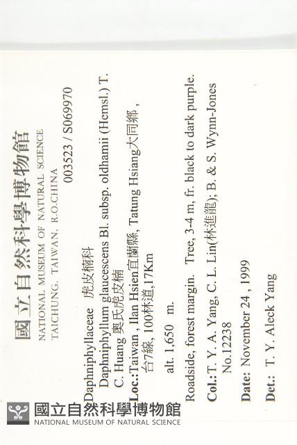 耿氏虎皮楠藏品圖，第2張