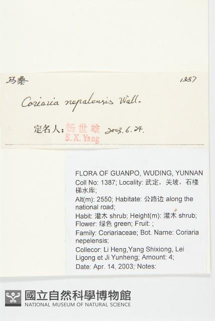 馬桑藏品圖，第2張