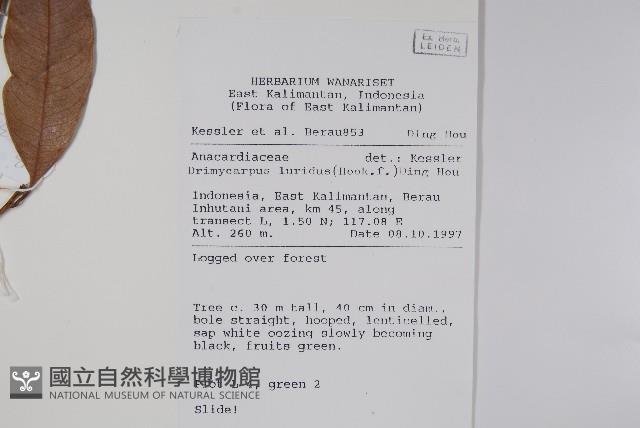 登錄號:S058880藏品圖，第2張