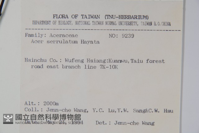 青楓藏品圖，第2張