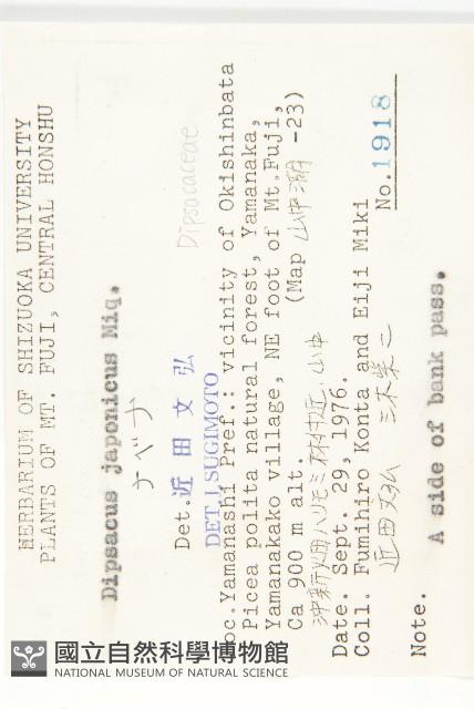 續斷藏品圖，第2張