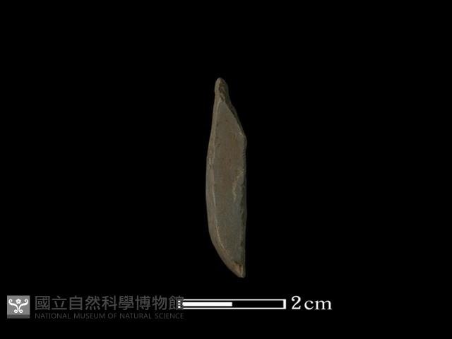 錛鑿形器藏品圖，第2張
