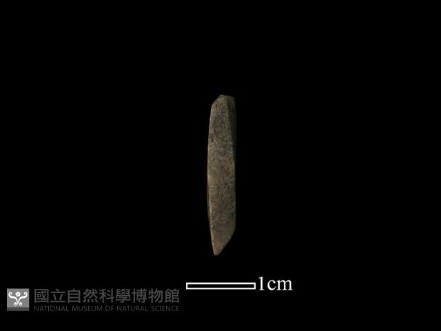 錛鑿形器藏品圖，第1張