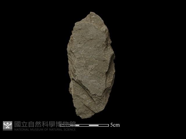 斧鋤形器藏品圖，第1張