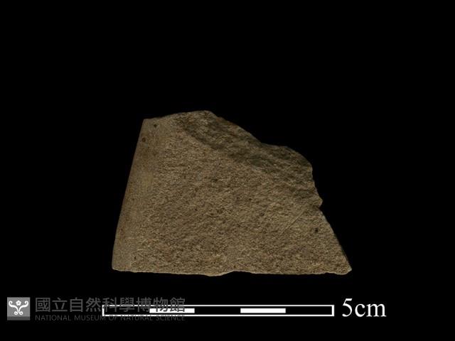 石鋸藏品圖，第2張