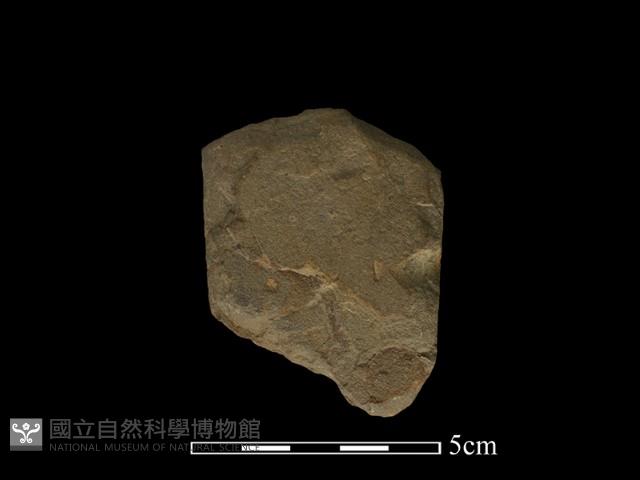 斧鋤形器藏品圖，第1張