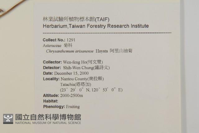 阿里山油菊藏品圖，第2張