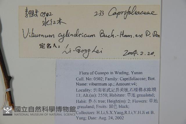 水紅木藏品圖，第2張