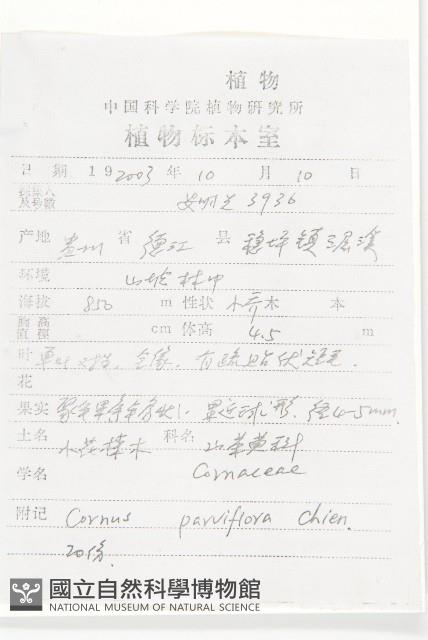 貴州四照花藏品圖，第2張