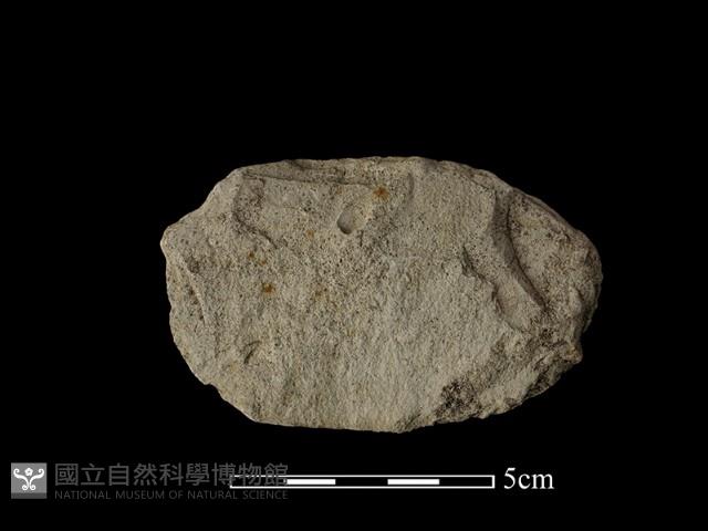 斧鋤形器藏品圖，第1張