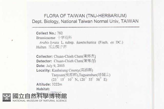 玉山筷子芥藏品圖，第2張