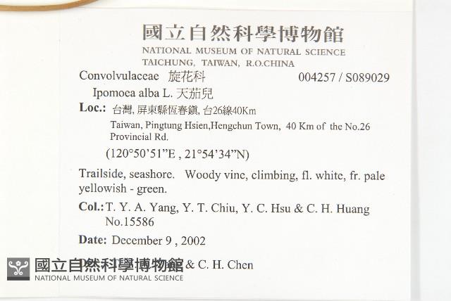 天茄兒藏品圖，第2張