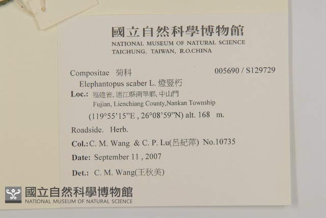 燈豎朽藏品圖，第2張