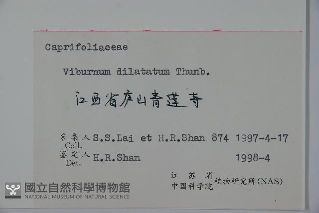 莢迷藏品圖，第2張