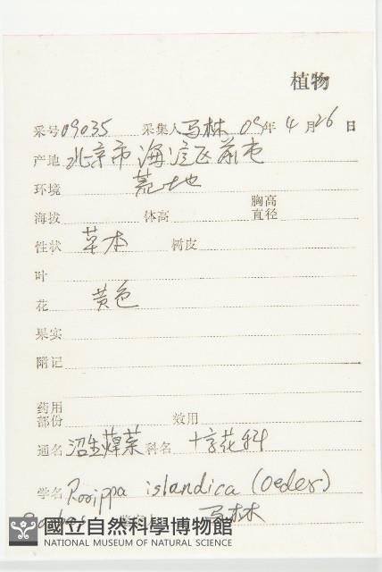 鳳花菜藏品圖，第2張