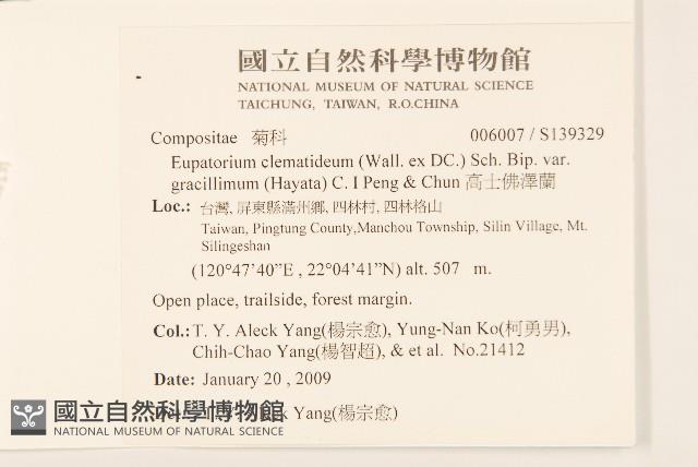 高士佛澤蘭藏品圖，第2張