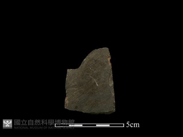 錛鑿形器藏品圖，第2張