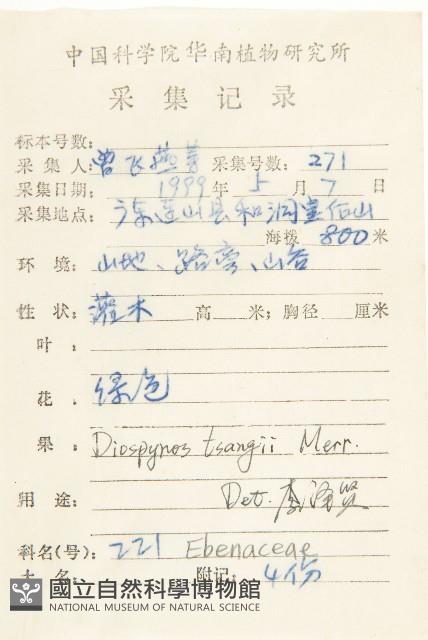 延平柿藏品圖，第2張