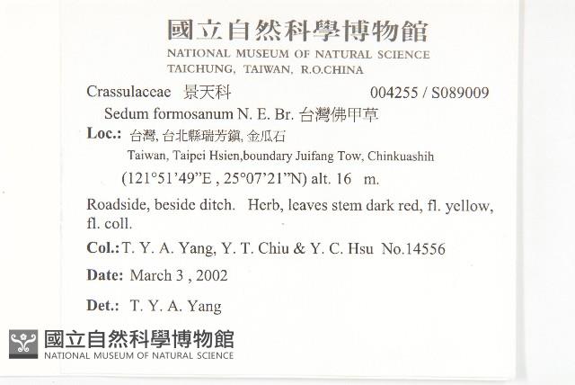 台灣佛甲草、石板菜藏品圖，第5張