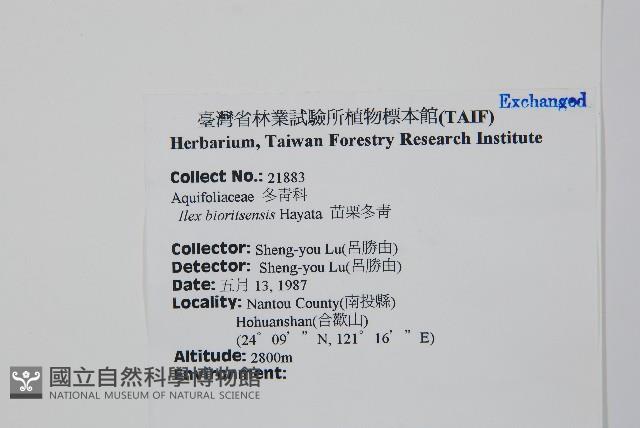 苗栗冬青藏品圖，第2張