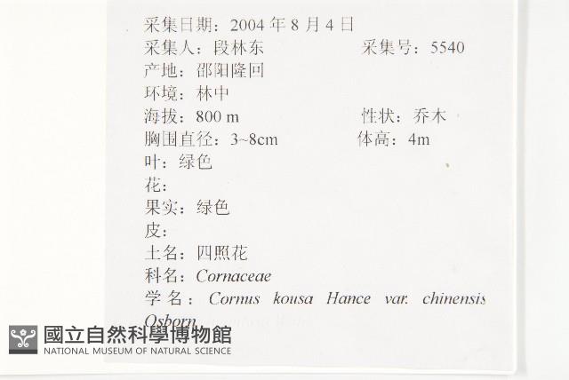 四照花、山荔枝藏品圖，第2張