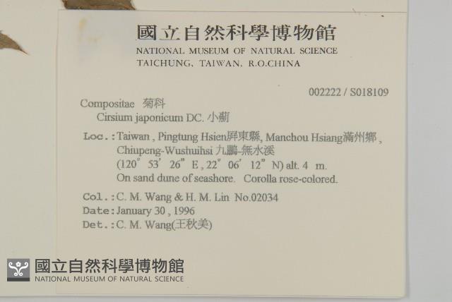 小薊藏品圖，第2張