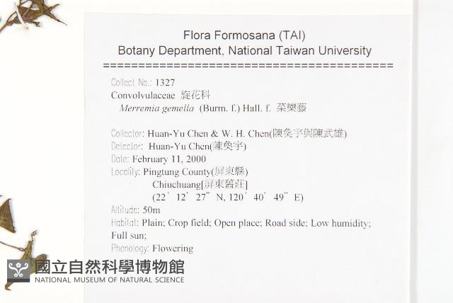 菜欒藤藏品圖，第2張