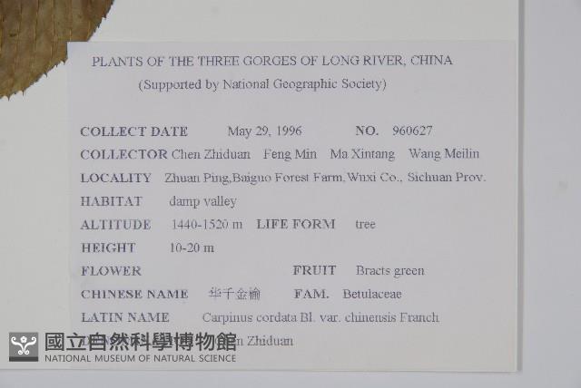 華千金榆藏品圖，第2張