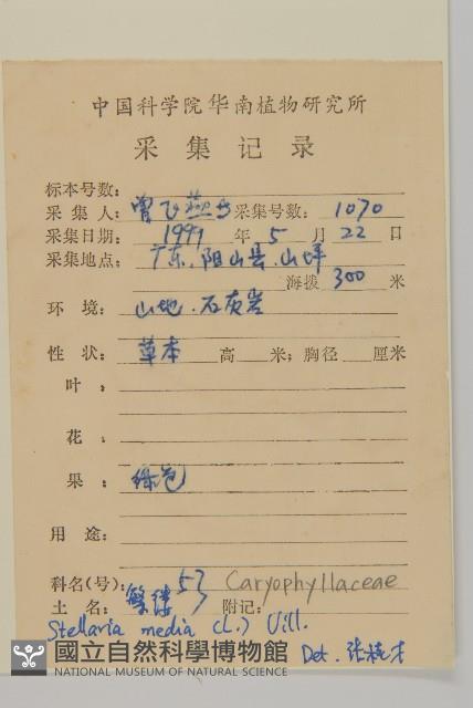 繁縷藏品圖，第2張