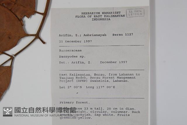 登錄號:S058809藏品圖，第2張