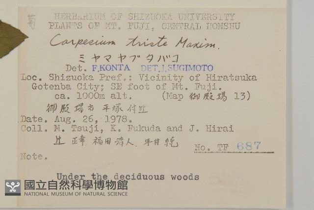 暗花金挖耳藏品圖，第2張