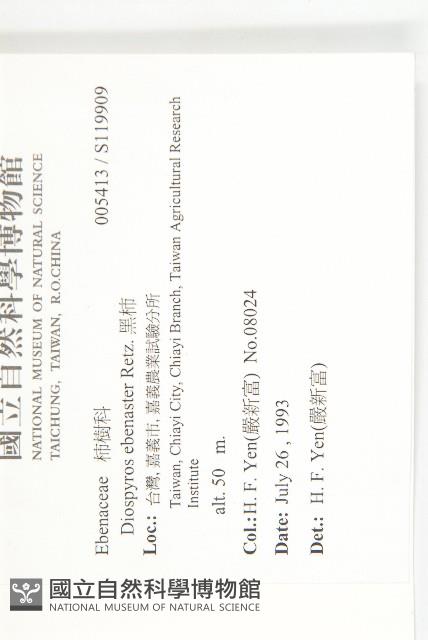 黑柿藏品圖，第2張