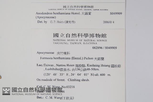 大錦蘭藏品圖，第2張