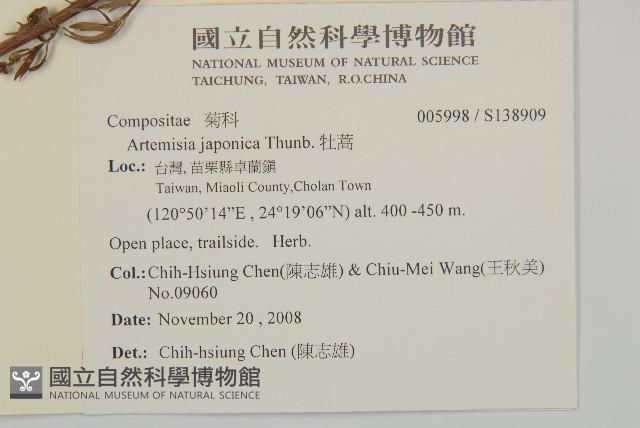 牡蒿藏品圖，第2張