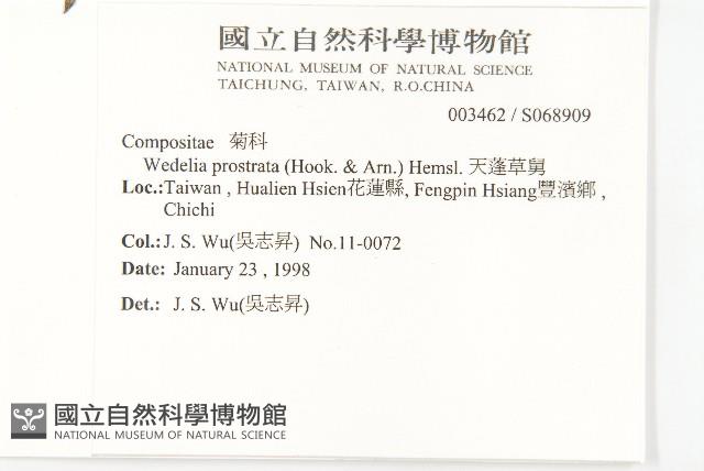 天蓬草舅藏品圖，第2張